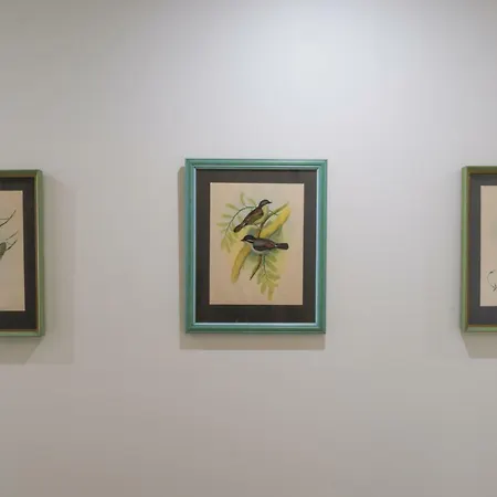 Villa Canadian Ponta Delgada