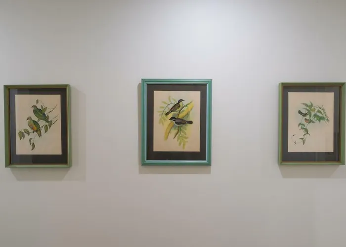 فيلة Canadian Ponta Delgada